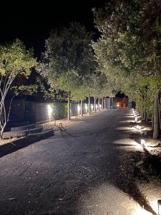 Villa Caterina, Alle Pendici Del Vulcano Etna Viagrande Zewnętrze zdjęcie