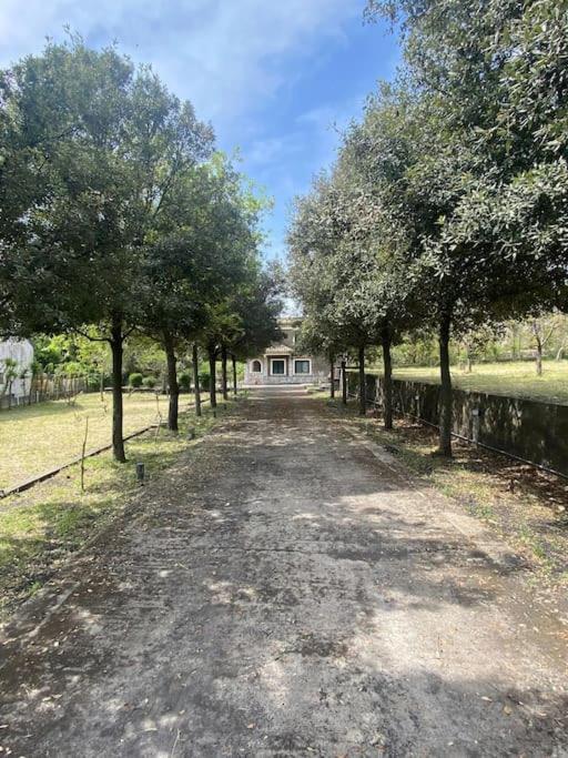 Villa Caterina, Alle Pendici Del Vulcano Etna Viagrande Zewnętrze zdjęcie