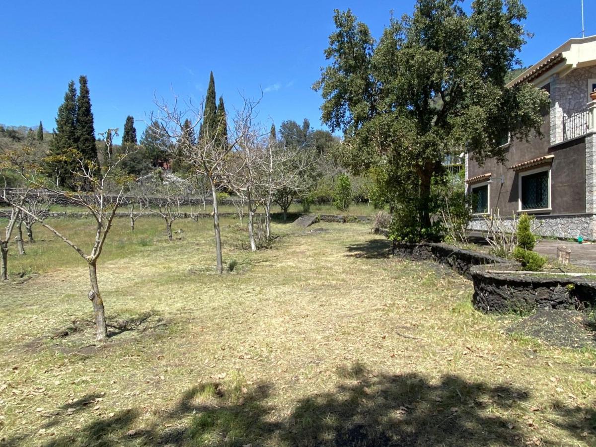 Villa Caterina, Alle Pendici Del Vulcano Etna Viagrande Zewnętrze zdjęcie